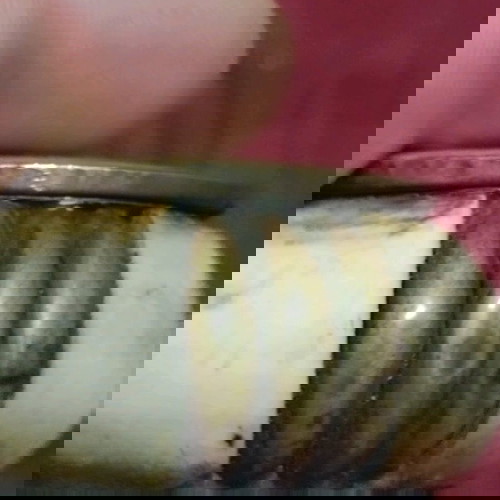 Ρετρό κουτί με καπάκι από κόκαλο με χάλκινα εξαρτήματα