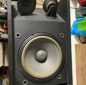 Bose 301