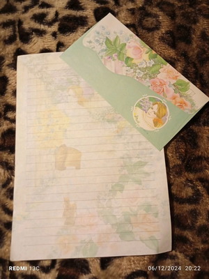 Used correspondence, 1 envelope with its sheet