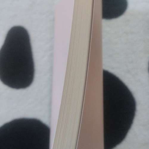 Book Stelios Kazantzidis new