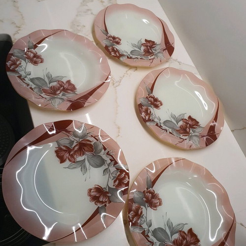 Set of 5 plates used