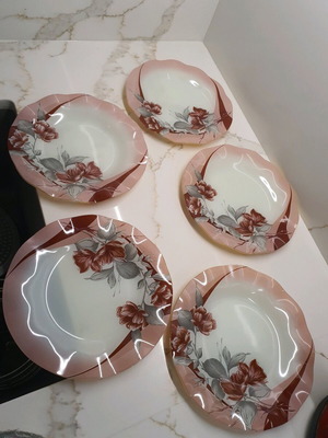 Set of 5 plates used