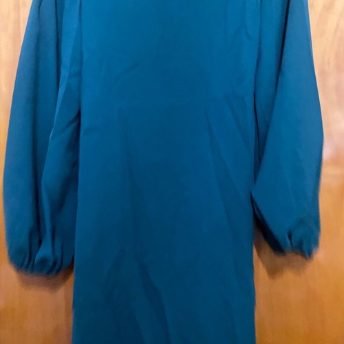 Green Emery Rose dress new