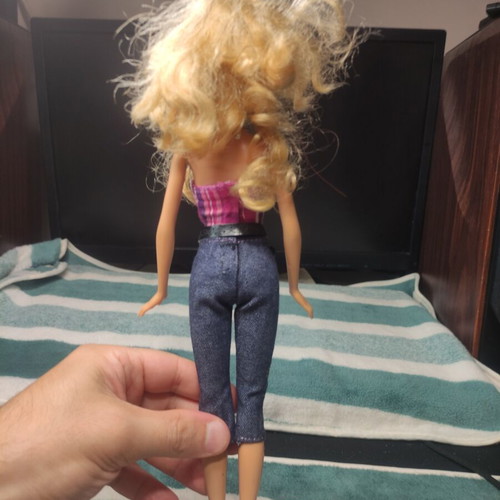 Barbie Country Rock 2009 doll used, missing accessories