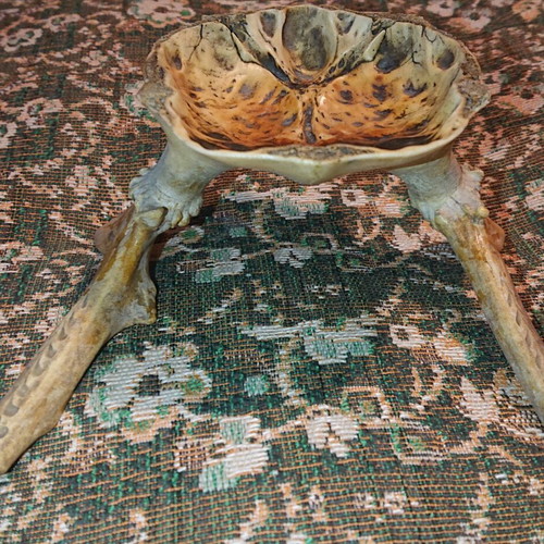Northern Deer Trophy like new