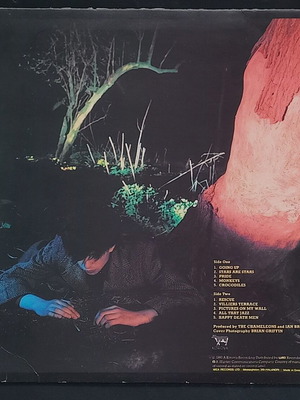 Echo and The Bunnymen Crocodiles LP μεταχειρισμένο, rock