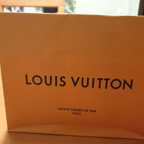 LOUIS VUITTON “BRAZZA WALLET”