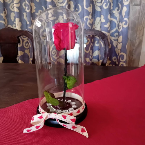 Eternal rose in glass dome with wooden base, like new