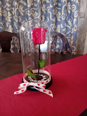Eternal rose in glass dome with wooden base, like new