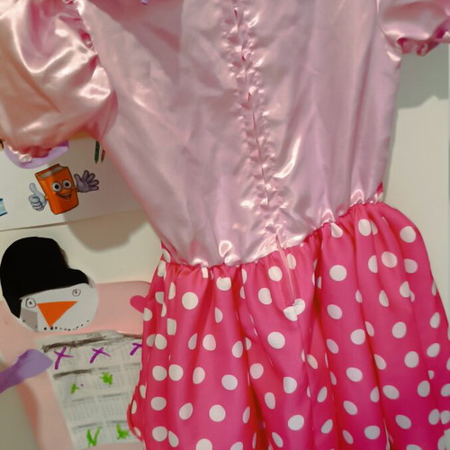 Carnival costume mini size 4 years like new