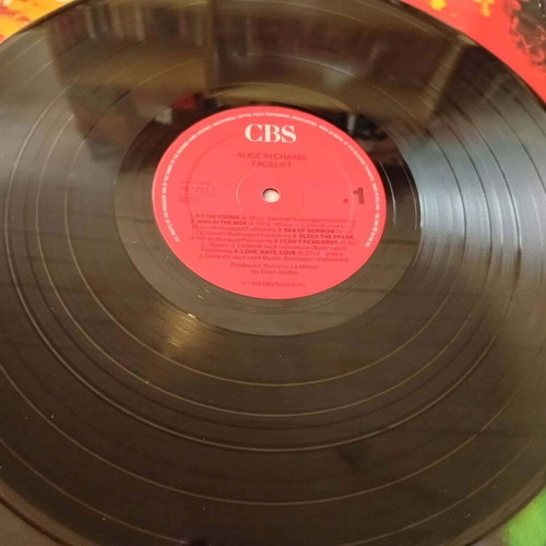 Alice In Chains Facelift LP, 1990 rock album