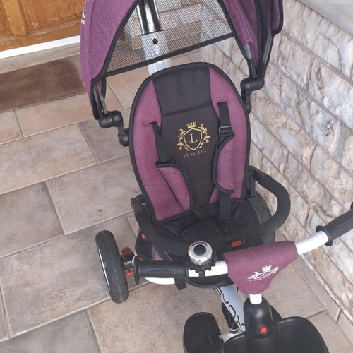 Byox Children's Folding Tricycle, Convertible with Parent Handle & Flexy Lux Canopy