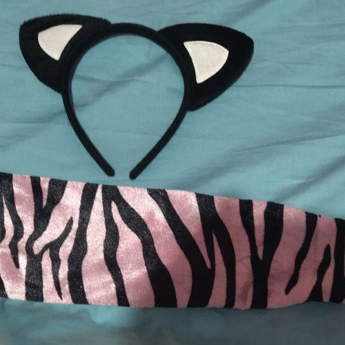 Carnival cat costume like new