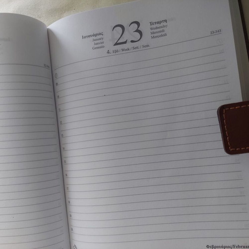 Leather-bound diary 2008 like new