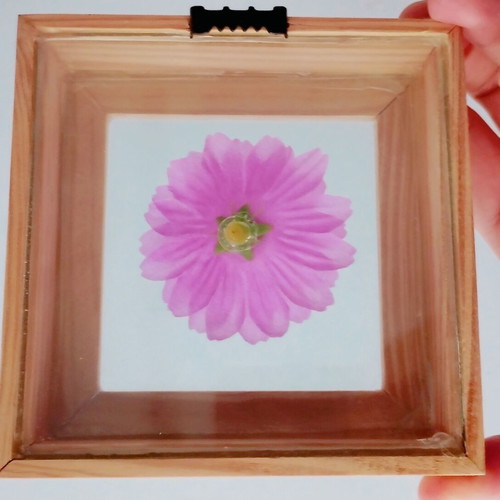 Decorative frame with encased flower, new