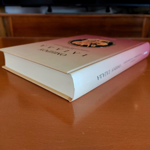 Homer's Iliad hardcover book like new, Greek