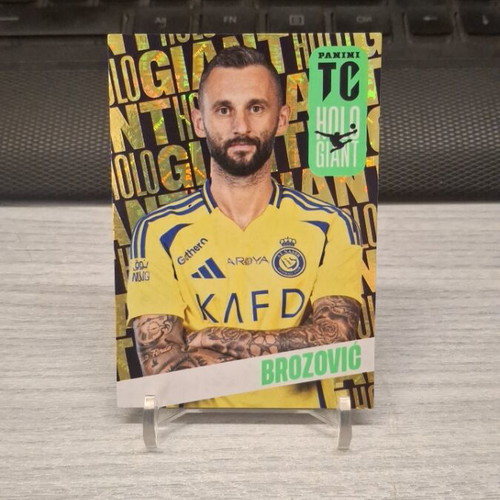 Panini Top Class 2025 Brozovic Holo Giant card new