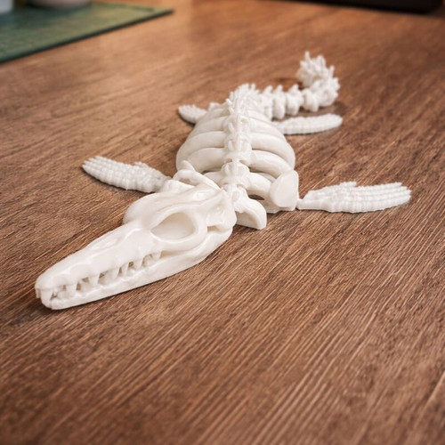 3D printed skeleton crocodile new, articulated and movable
