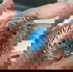 Бейблейд въртяща се топка