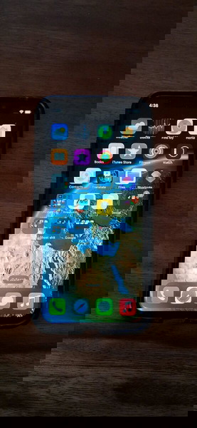 iPhone X