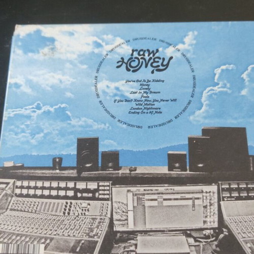 Drugdealer Raw Honey CD like new, rock
