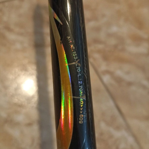 Zebco Praktica DX-60 Fishing Rod, 40-60