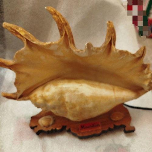 Vintage shell lamp used from Mauritius