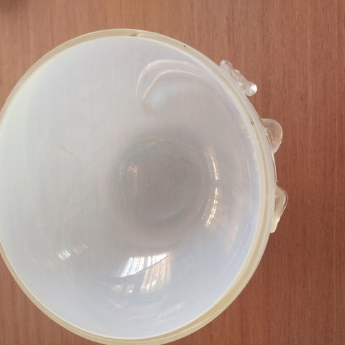 Vintage Matte Glass Bowl with Relief Roses and Leaves like new