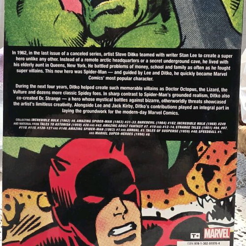 Marvel Visionaries Steve Ditko HC 1st Print σαν καινούργιο