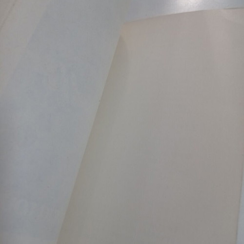 Garlic the miraculous book used with few underlines