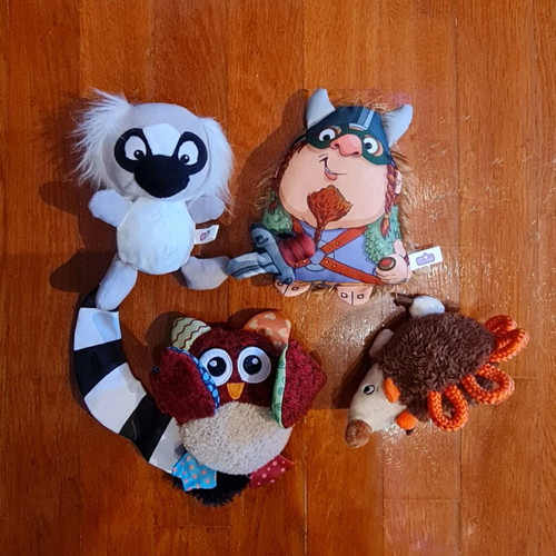 Pet toys new, pack of 40 pieces