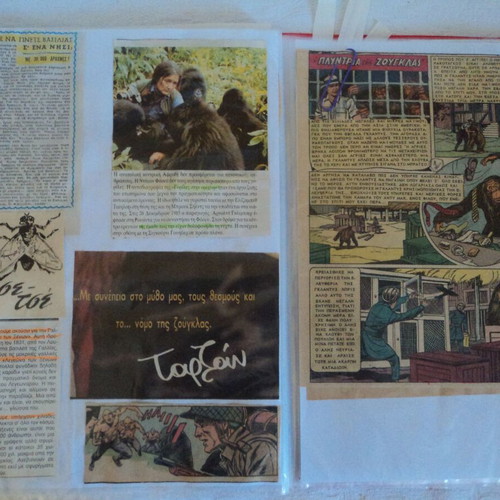 Tarzan collection of about 100 used illustrated clippings and stories