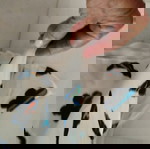  φόρεμα σιφόν