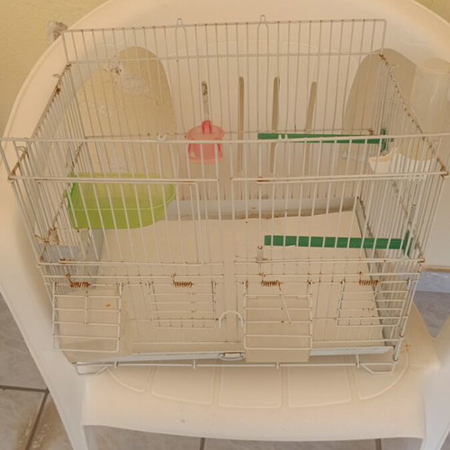 Birdcage with accessories used
