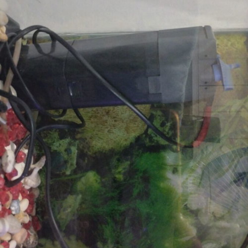 Aquarium like new