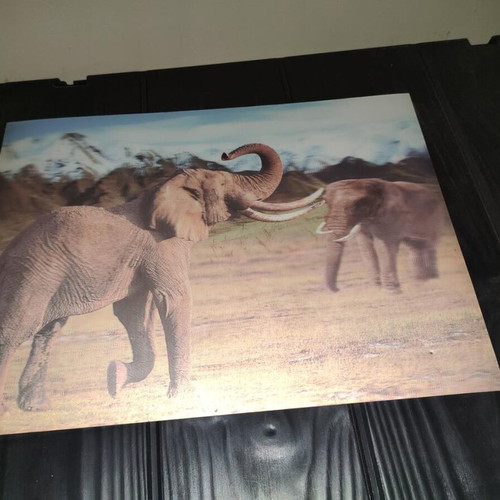 3D Decorative Wall Art with African Elephants Effect 39x29cm like new