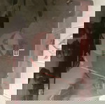  Πικαπ