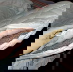  Βρεφική καλαθούνα λευκή ΟΝΕΙΡΑ 90×50