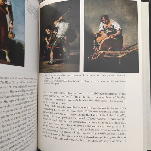 Goya by Robert Hughes book