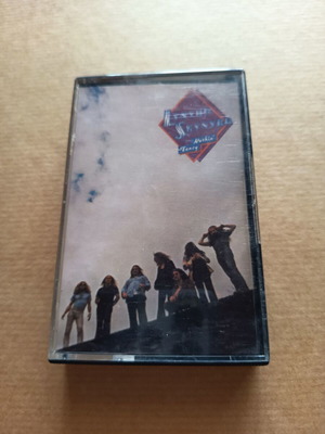 Lynyrd Skynyrd Nuthin' Fancy vintage audio cassette used, rock
