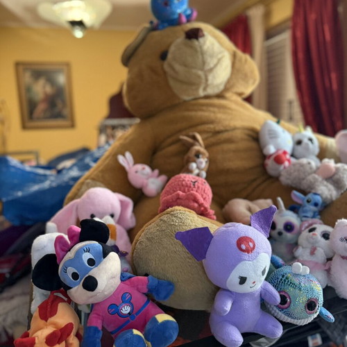 Giant Teddy Bear used, large plush brown