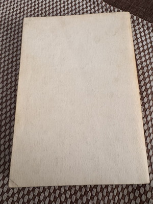 Milan Kundera The Immortality book