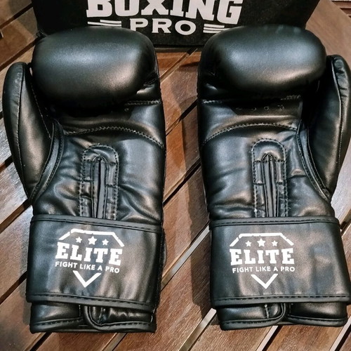 Boxing Pro Stripes 12 oz gloves like new with case