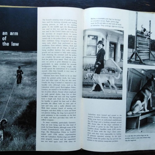 Paul Hamlyn Dogs Dogs Dogs Dogs Dogs book used, English