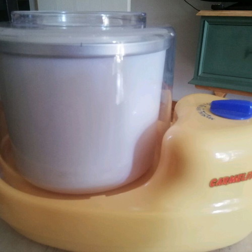 Carmelita Ice Cream Maker