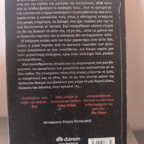 The Promise by Damon Galgut used, good condition with small stain