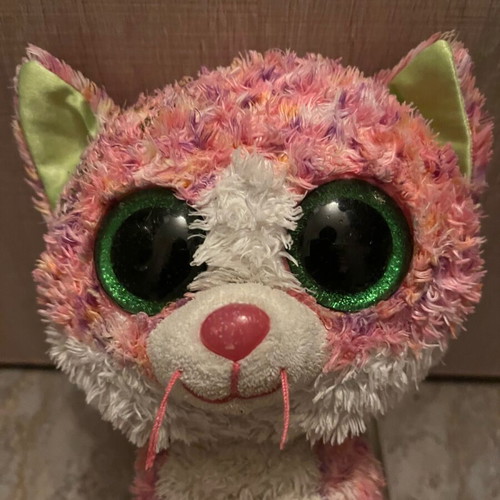 Plush cat used, named Sofie