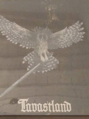 Havukruunu Tavastland LP καινούργιο, metal