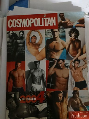 Cosmopolitan calendar 2004 like new