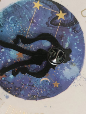 Sailor Moon pin new